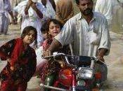 Allevamento intensivo: prime cause riscaldamento globale