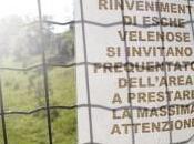 Ancora polpette avvelenate
