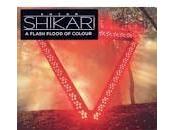 Classifica inglese:Adele risale trono.Focus Enter Shikari(n.4) singoli Cher Lloyd(n.26) Direction(n.28)