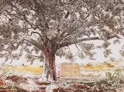 Tenuta dentro, lungo