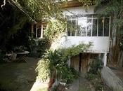 Giardini mestieri_il botanico, Patrick Blanc