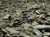 Olocausto: “Saldo fine Secolo”?