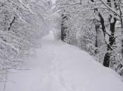 Allerta Meteo gelo neve tutta Italia