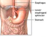 regole dello stomaco stare forma e...