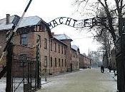 Viaggio Auschwitz Cracovia
