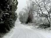 Italia paralizzata neve gelo Temperature calo Servizi, scuole trasporti tilt