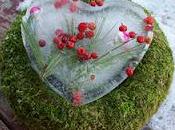 Valentino_Cuori ghiaccio