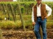 Nonostante crisi l’industria vinicola cresce