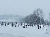 Snow...snow...snow