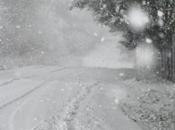 comune venerdì Roma