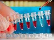 Aggiungere geni baco seta genoma umano rendere pelle antiproiettile