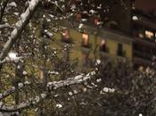 Random photographs from... snowbound Milan Piazza Tommaseo