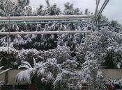 Roma tornata zimbello d’Italia Alemanno alle corde