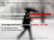 Ombre Bianche: mostra fotografica Federica Brunini