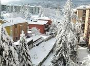 Neve Avellino