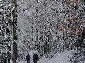 fate sciogliere neve!