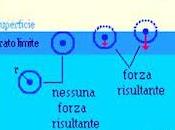 Forze Alla Superficie Liquidi: Tensione Superficiale