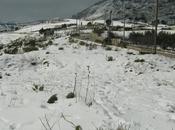 "giorni della merla" l'Italia stretta nella morsa freddo polare. Anche provincia Palermo arrivata neve.