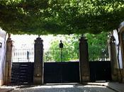 vigneto strabiliante