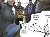 lavori febbraio Vigneto