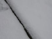 neve Roma!