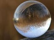 BASTA VOLERLO.Si irrita bugie, voglia sale scende...