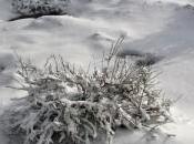 spiagge della Sardegna innevate