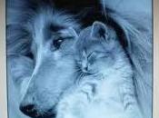 D'IMPULSO.Un silenzio così intenso stordire,d'impulso