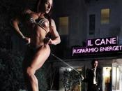 Cane-risparmio Energetico