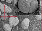 Marte visto Microscopic Imager parte