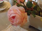 nuova cucina Gustaviana....