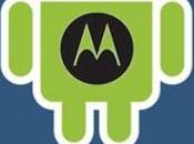 Motorola Google consenso