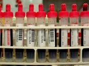 Yara Gambirasio: pista Gorno nuove indagini