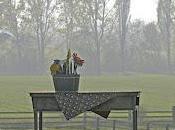 fuori scala stupefacente!!