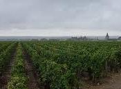 Francia vinicola presto parlerà cinese?