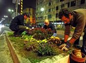 Guerrilla gardening: trasformiamo cemento fiori!