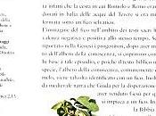 natura suoi simboli_fico