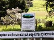 Come lunga Taumata