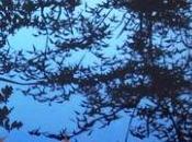 Samsung Galaxy Tab: recensione