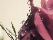 Vivere un'altra cosa