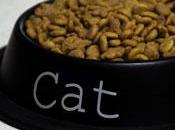 Insufficienza renale gatto diete Renal sempre sono efficaci