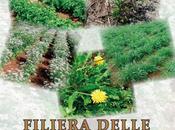 Castelluccio Superiore iniziativa dell&#8217;Alsia