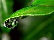 Bellezza naturale: primo salone Wellness Campagna