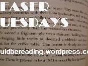 Teaser Tuesday