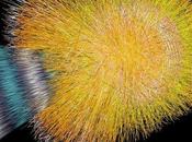 Neutrini velocita' della luce: limite invalicabile?