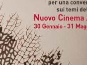 Contest 2012: terzo appuntamento Nuovo Cinema Aquila