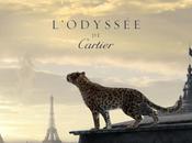 L’Odyssé Cartier.