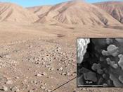 SOLID scopre nuova vita Deserto dell’Atacama