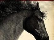 Weekly Book: Horse, Michael Morpurgo