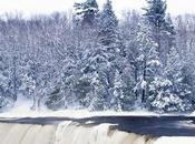 Pandemie della piccola glaciale